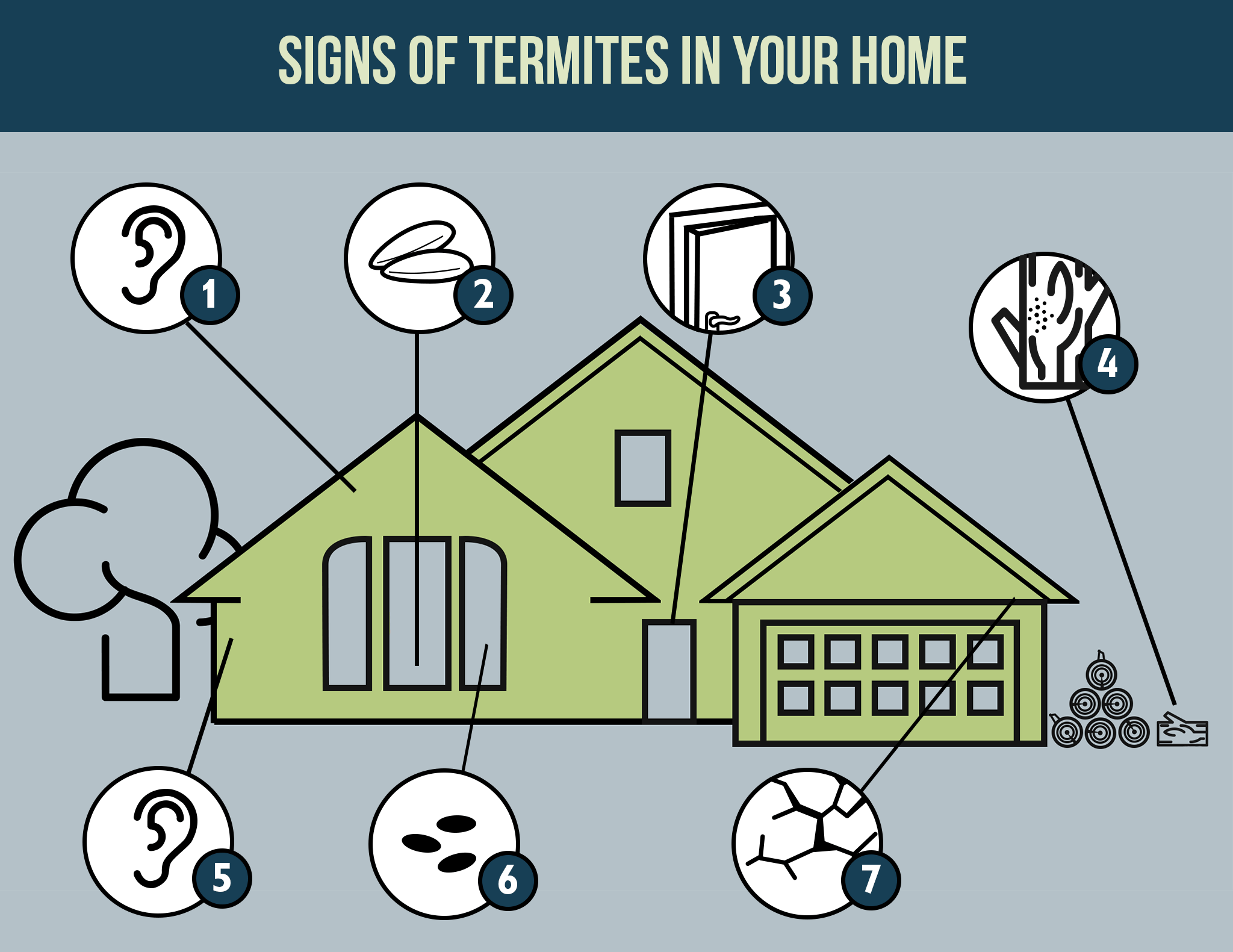 signs of termites in house